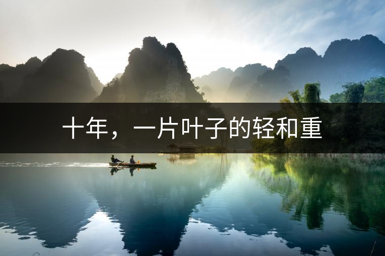 十年，一片葉子的輕和重