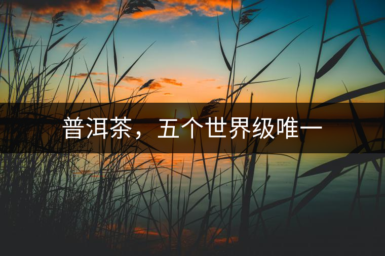 普洱茶，五個(gè)世界級(jí)唯一