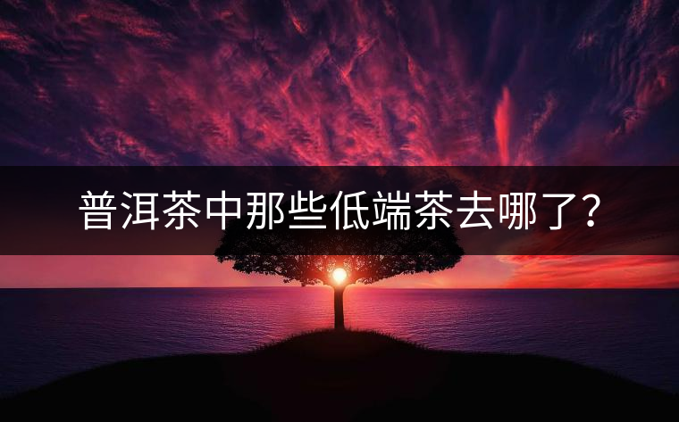 普洱茶中那些低端茶去哪了？