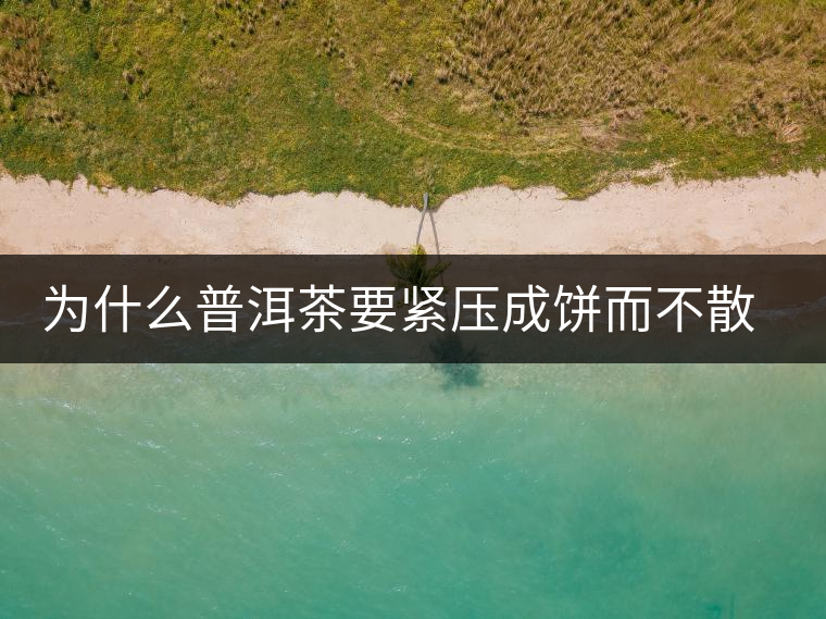 為什么普洱茶要緊壓成餅而不散存呢？