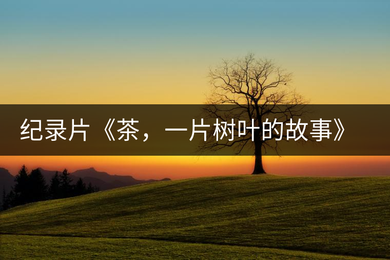 紀(jì)錄片《茶，一片樹(shù)葉的故事》 茶文化的詩(shī)意追尋