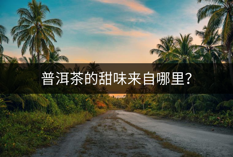 普洱茶的甜味來自哪里？