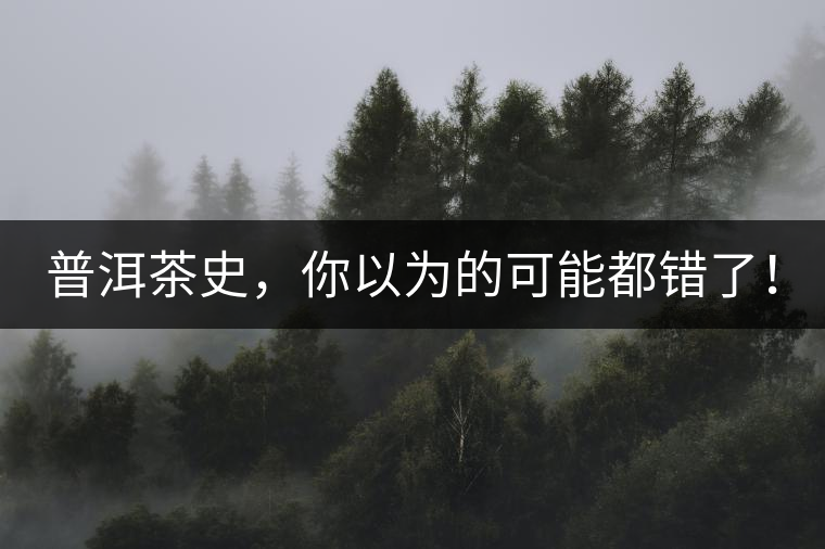 普洱茶史，你以為的可能都錯了！