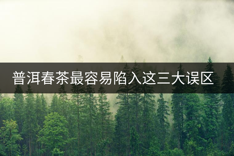 普洱春茶最容易陷入這三大誤區(qū)里 普洱春茶最容易陷入這三大誤區(qū)里