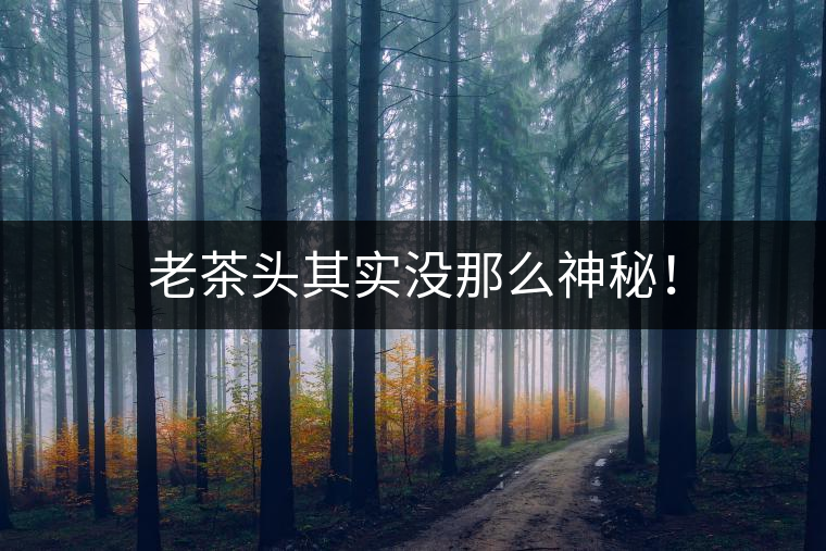 老茶頭其實(shí)沒那么神秘！