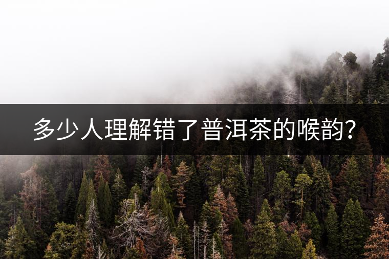 多少人理解錯(cuò)了普洱茶的喉韻？