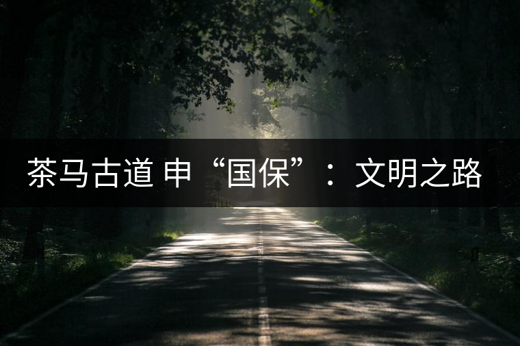 茶馬古道 申“國?！保何拿髦返脑侔l(fā)現(xiàn)