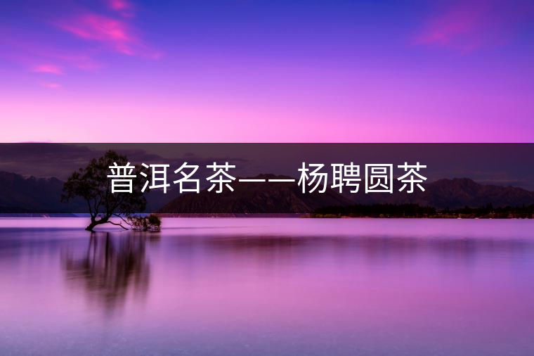 普洱名茶——楊聘圓茶 普洱名茶——楊聘圓茶