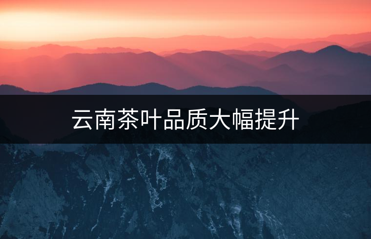 云南茶葉品質(zhì)大幅提升