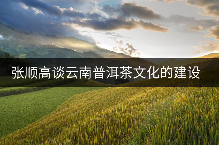 張順高談云南普洱茶文化的建設方向 張順高談云南普洱茶文化的建設方向