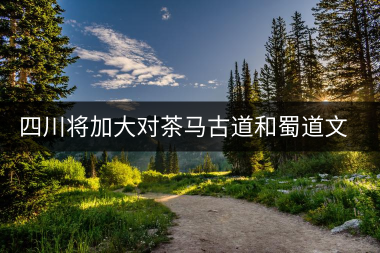四川將加大對茶馬古道和蜀道文化線路遺產(chǎn)的保護力度 四川將加大對茶馬古道和蜀道文化線路遺產(chǎn)的保護力度