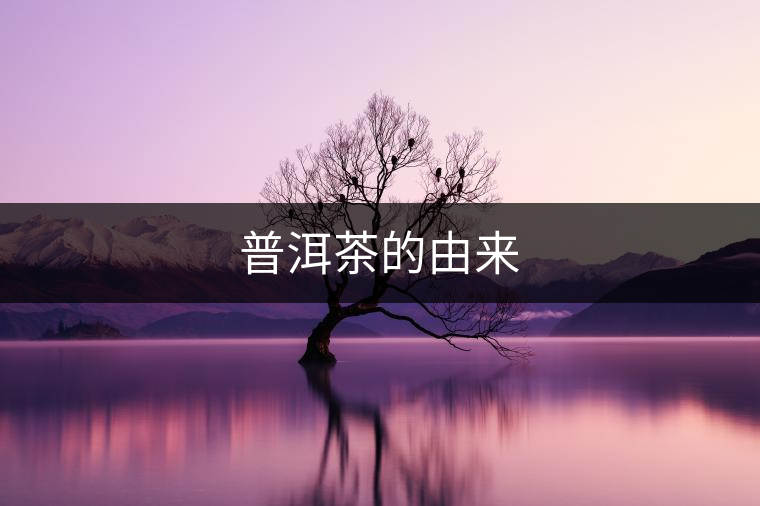 普洱茶的由來(lái)