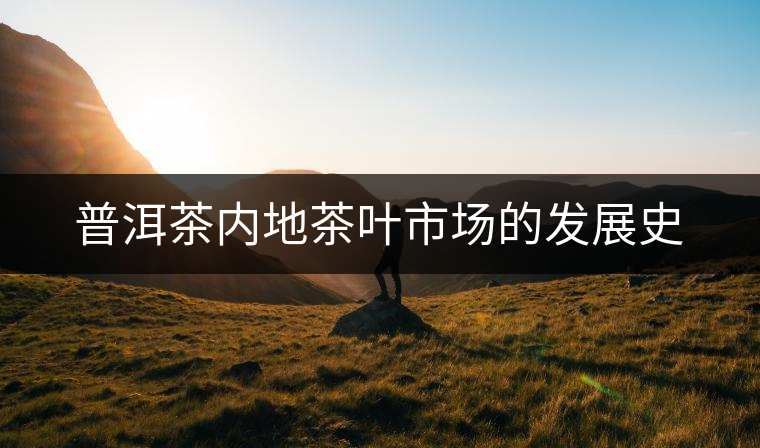 普洱茶內(nèi)地茶葉市場的發(fā)展史 普洱茶內(nèi)地茶葉市場的發(fā)展史