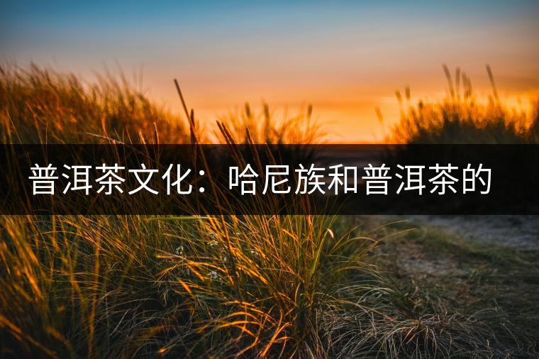 普洱茶文化:哈尼族和普洱茶的不解情緣 普洱茶文化:哈尼族和普洱茶的不解情緣