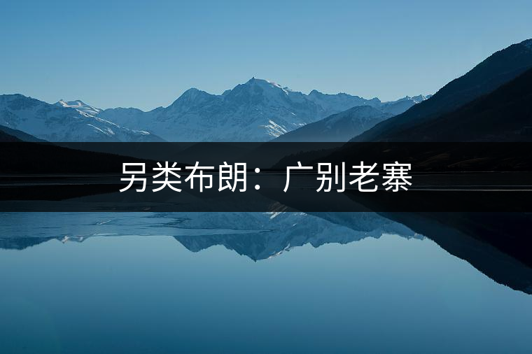 另類布朗:廣別老寨 另類布朗:廣別老寨