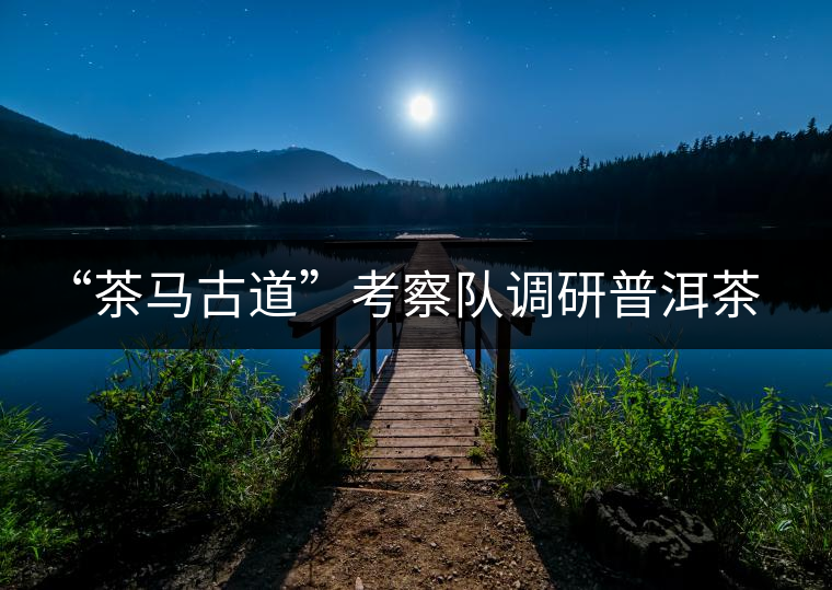“茶馬古道”考察隊調研普洱茶文化 “茶馬古道”考察隊調研普洱茶文化