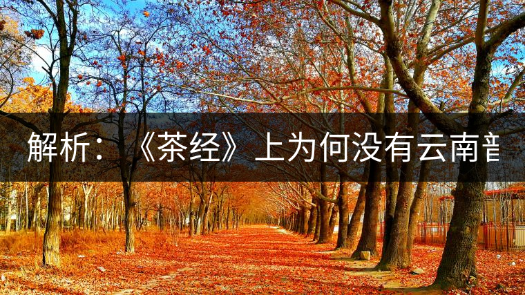 解析：《茶經(jīng)》上為何沒有云南普洱茶 ？