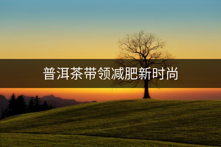 普洱茶帶領減肥新時尚