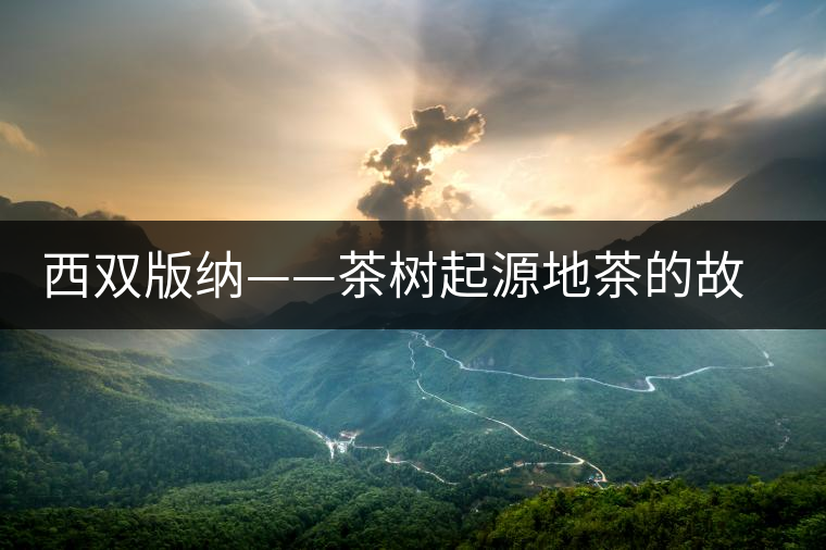 西雙版納——茶樹起源地茶的故鄉(xiāng)、云茶之源