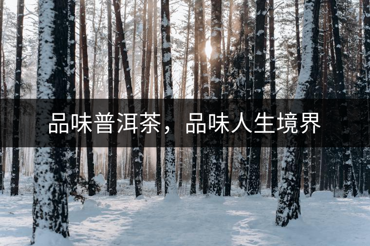 品味普洱茶，品味人生境界