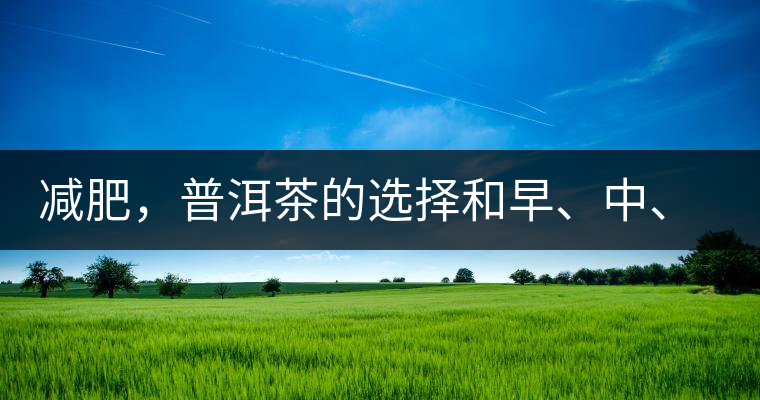 減肥，普洱茶的選擇和早、中、晚的喝法