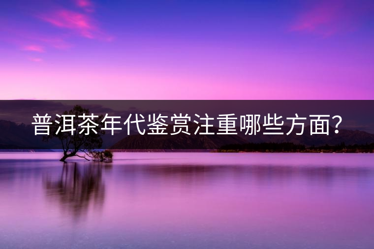 普洱茶年代鑒賞注重哪些方面？