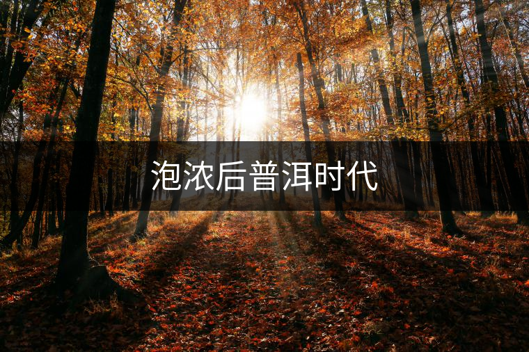 泡濃后普洱時(shí)代 泡濃后普洱時(shí)代