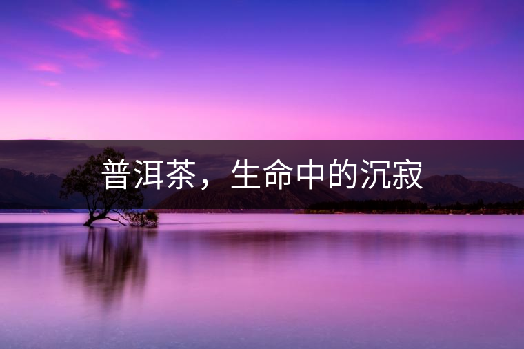 普洱茶，生命中的沉寂