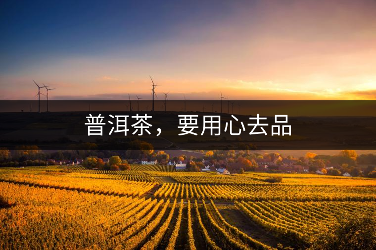 普洱茶,要用心去品 普洱茶,要用心去品