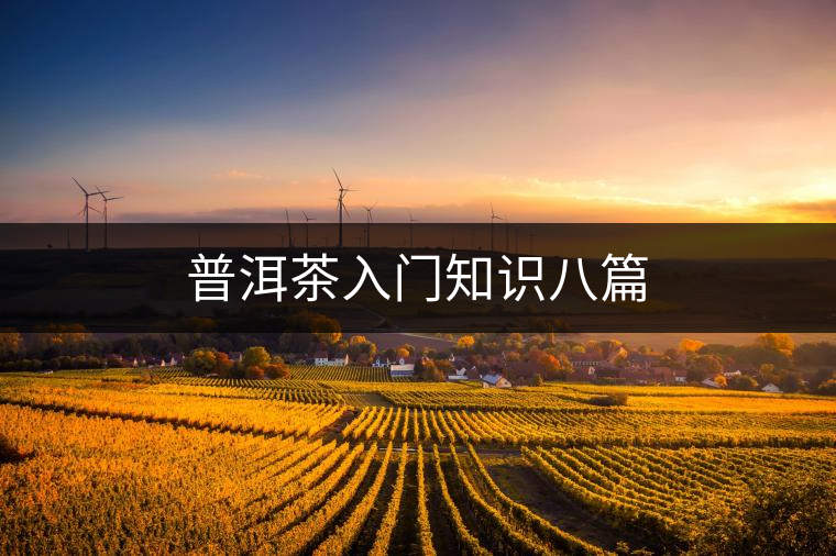 普洱茶入門知識八篇