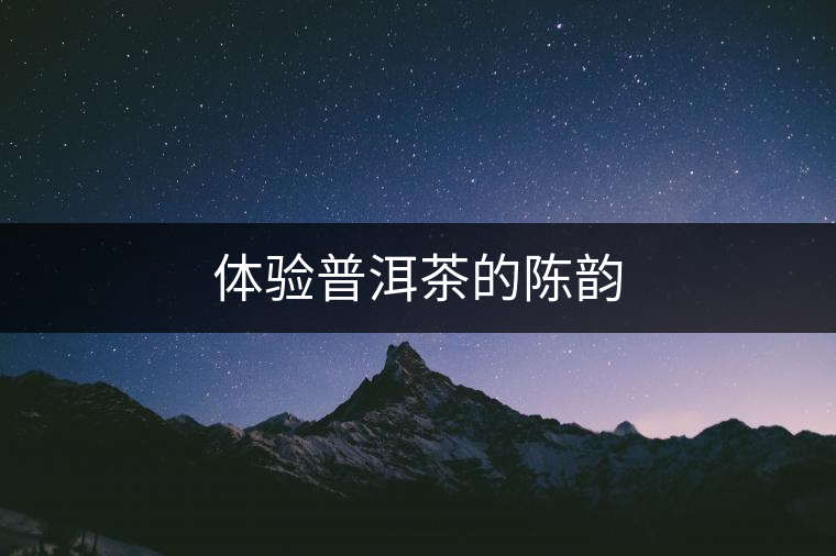 體驗普洱茶的陳韻 體驗普洱茶的陳韻