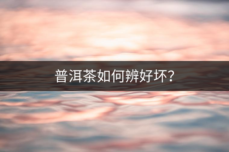 普洱茶如何辨好壞？