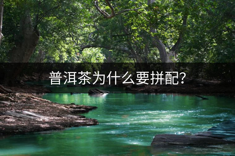 普洱茶為什么要拼配？