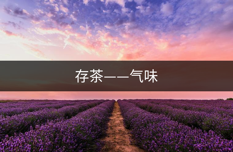 存茶——氣味 存茶——氣味