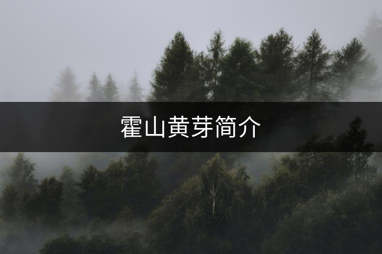 霍山黃芽簡(jiǎn)介 霍山黃芽簡(jiǎn)介
