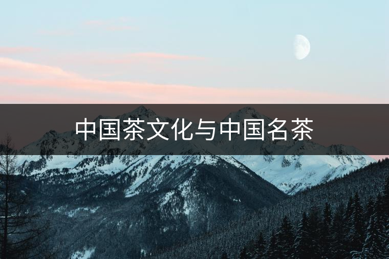 中國茶文化與中國名茶