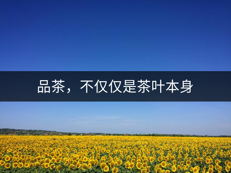 品茶，不僅僅是茶葉本身