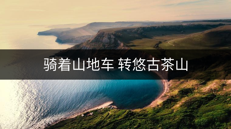 騎著山地車 轉悠古茶山 騎著山地車 轉悠古茶山