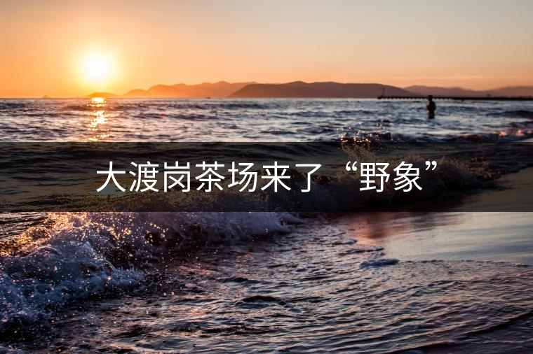大渡崗茶場(chǎng)來(lái)了“野象” 大渡崗茶場(chǎng)來(lái)了“野象”