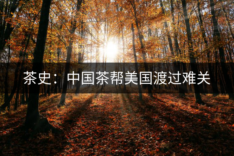 茶史:中國(guó)茶幫美國(guó)渡過(guò)難關(guān) 茶史:中國(guó)茶幫美國(guó)渡過(guò)難關(guān)