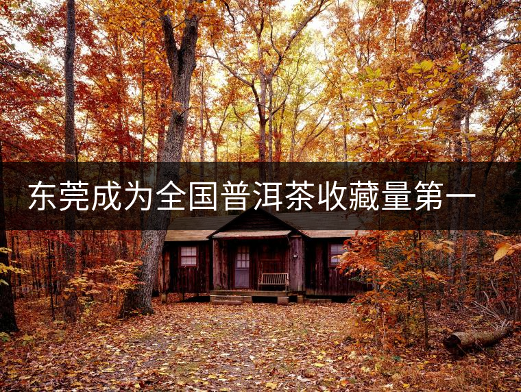 東莞成為全國普洱茶收藏量第一位的城市？