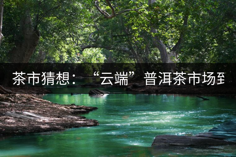 茶市猜想：“云端”普洱茶市場到來了!