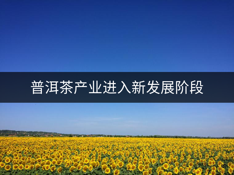普洱茶產(chǎn)業(yè)進入新發(fā)展階段
