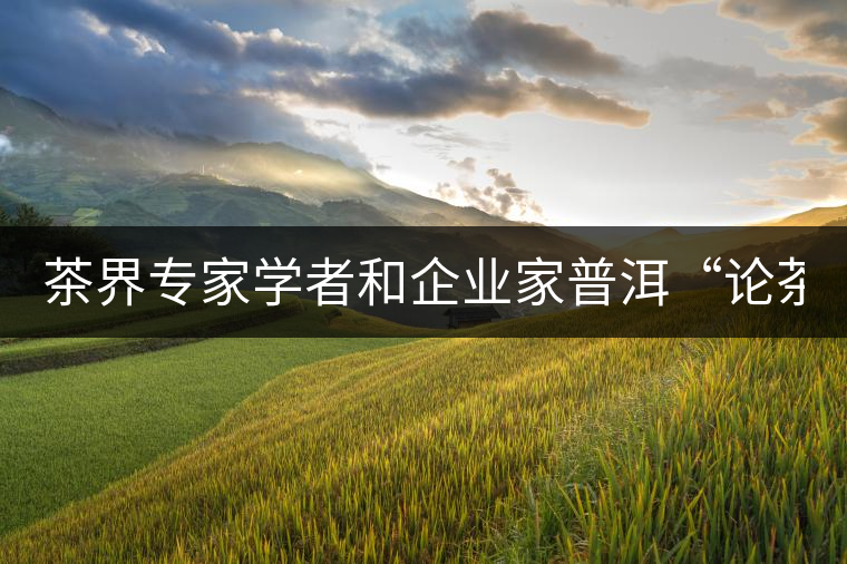 茶界專(zhuān)家學(xué)者和企業(yè)家普洱“論茶” 茶界專(zhuān)家學(xué)者和企業(yè)家普洱“論茶”
