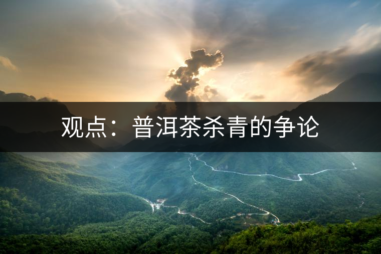 觀點(diǎn):普洱茶殺青的爭論 觀點(diǎn):普洱茶殺青的爭論