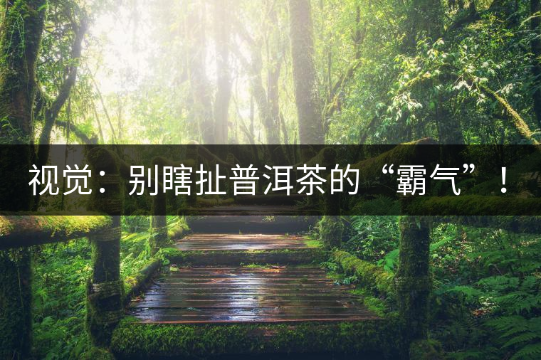 視覺：別瞎扯普洱茶的“霸氣”！偽大師！