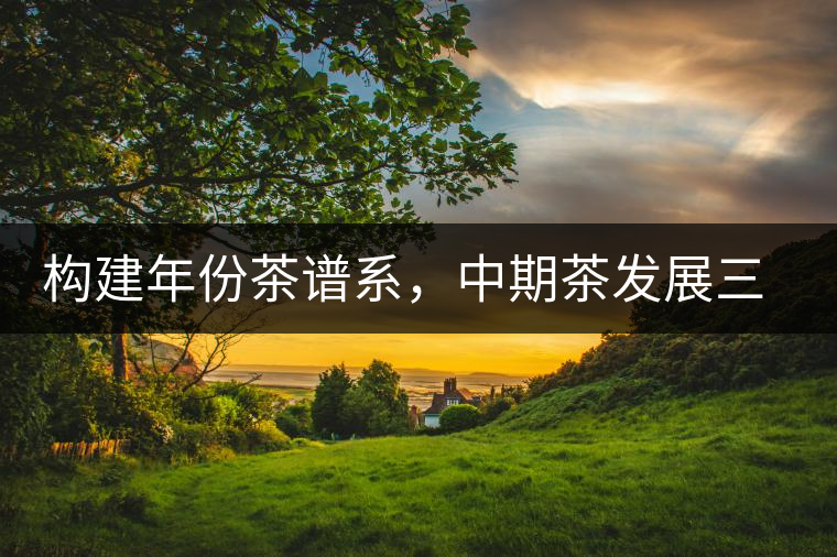 構建年份茶譜系，中期茶發(fā)展三部曲（話說中期茶之二）