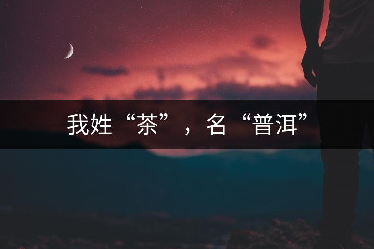 我姓“茶”，名“普洱”