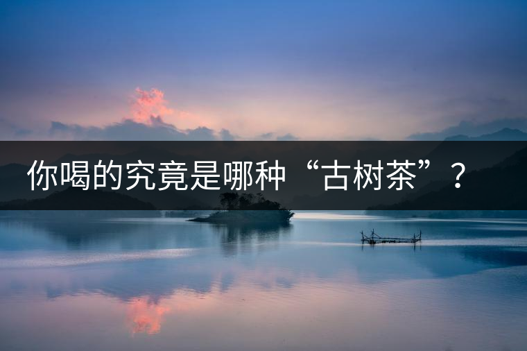 你喝的究竟是哪種“古樹茶”？（收茶必備知識）