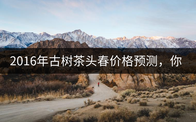 2016年古樹茶頭春價(jià)格預(yù)測(cè)，你怎么看？